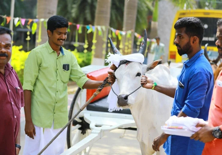 Cultural Fest Highlights